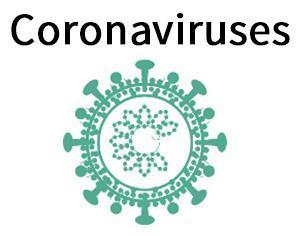 international clients